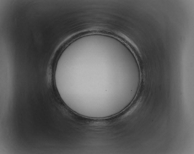 X0000101951021200807180658