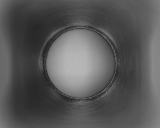 X0000101951022200807180658