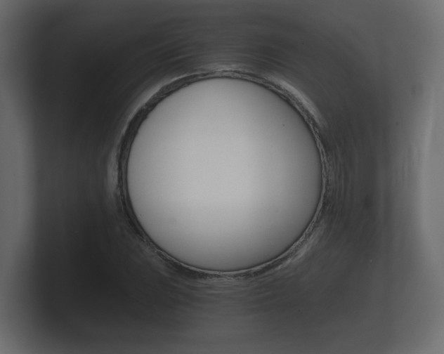 X0000101951023200807180658