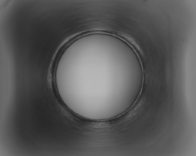 X0000101951024200807180658