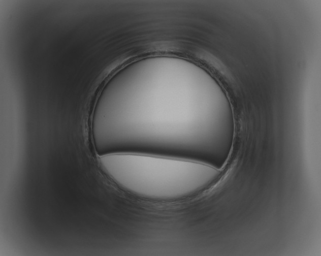 X0000101951025200807180658
