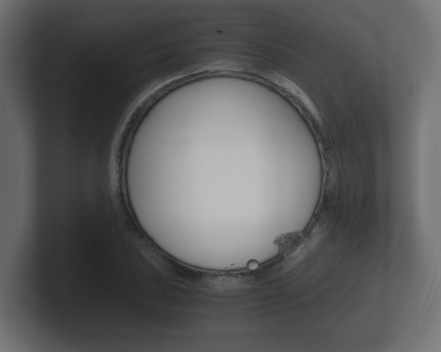 X0000101951027200807180658