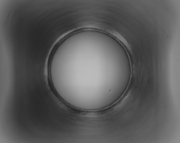 X0000101951028200807180658