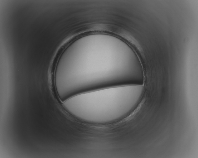 X0000101951029200807180658