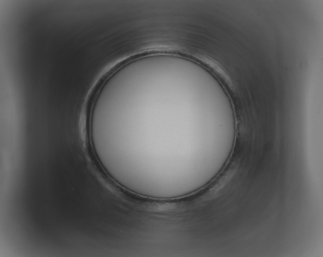 X0000101951030200807180658