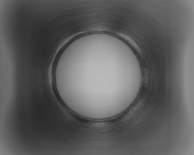 X0000101951031200807180658