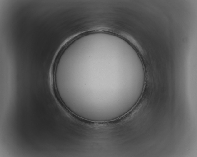 X0000101951032200807180658