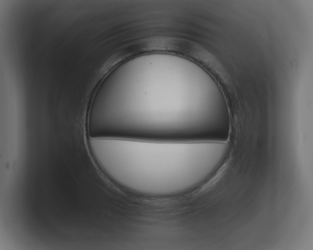 X0000101951033200807180658