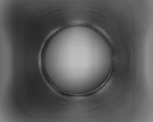 X0000101951034200807180658