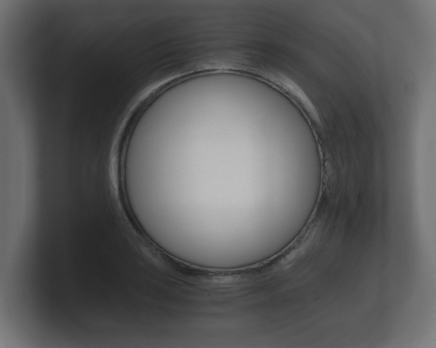 X0000101951035200807180658