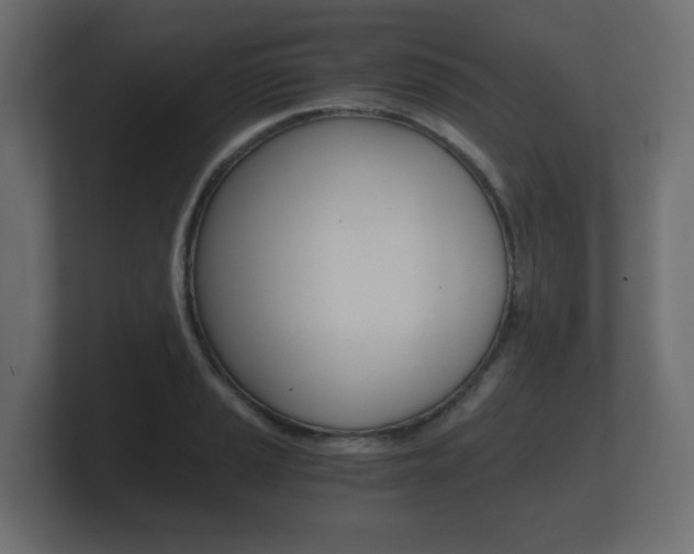 X0000101951037200807180658