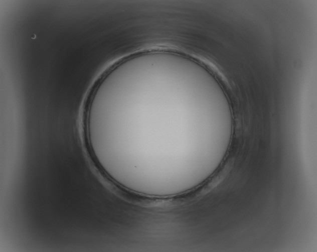 X0000101951038200807180658