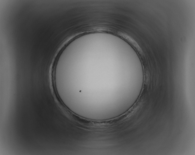 X0000101951039200807180658