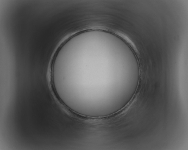 X0000101951040200807180658