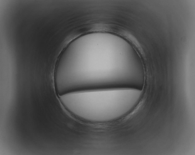 X0000101951041200807180658