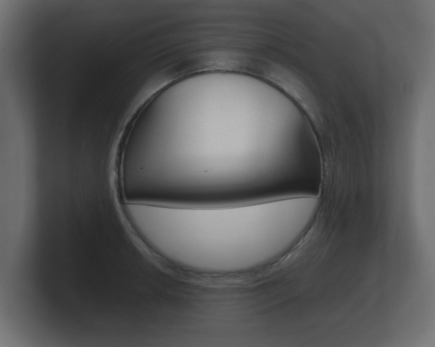 X0000101951042200807180658