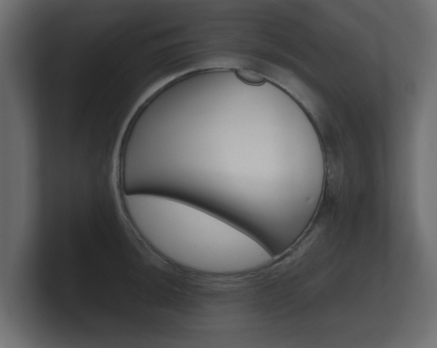 X0000101951044200807180658