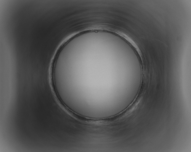 X0000101951045200807180658