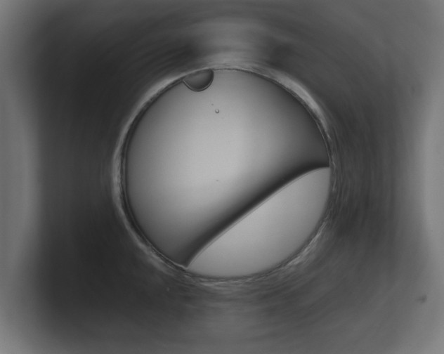 X0000101951048200807180658
