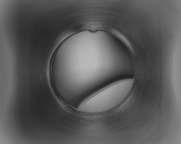 X0000101951050200807180658