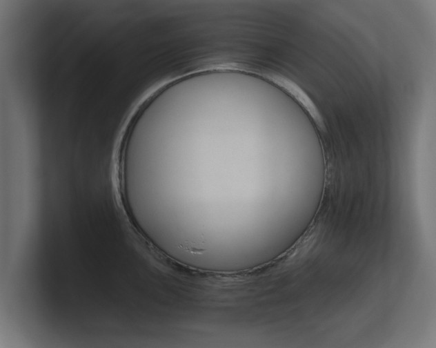 X0000101951051200807180658