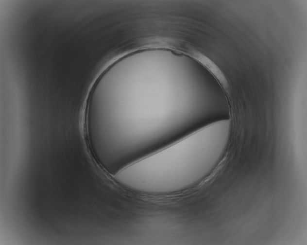X0000101951052200807180658