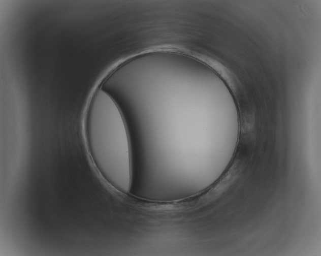 X0000101951054200807180658