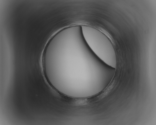 X0000101951055200807180658