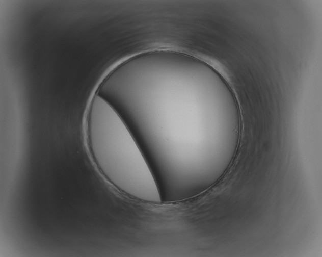 X0000101951056200807180658