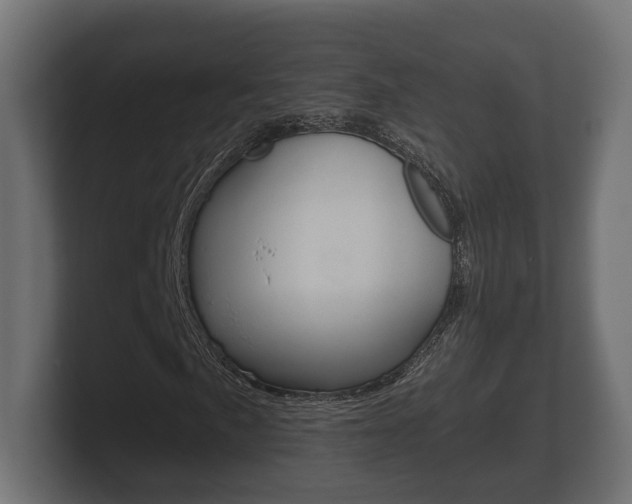 X0000101951057200807180658