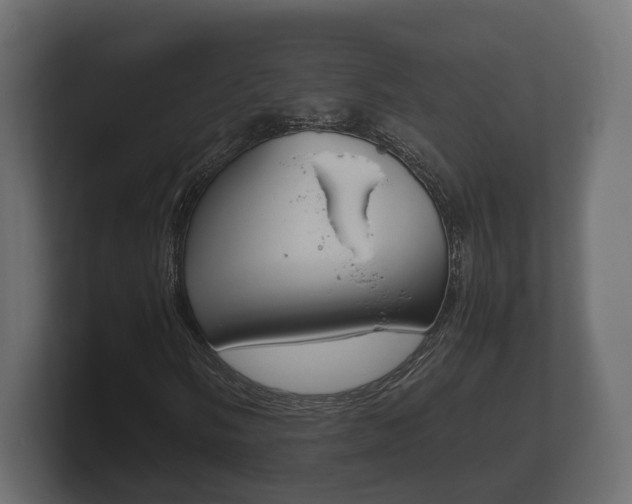 X0000101951058200807180658