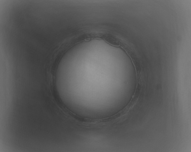 X0000101951061200807180658