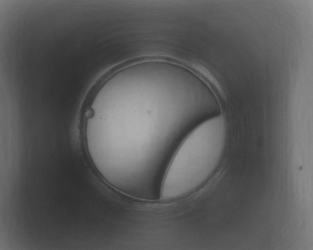 X0000101951068200807180658
