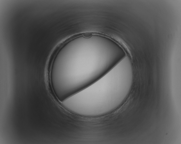 X0000101951072200807180658