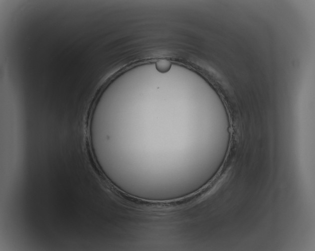 X0000101951073200807180658