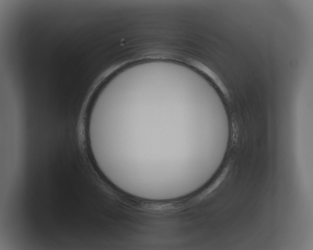 X0000101951074200807180658