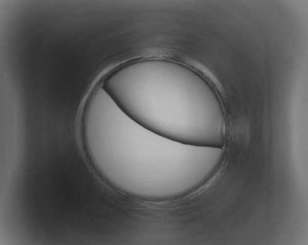 X0000101951075200807180658