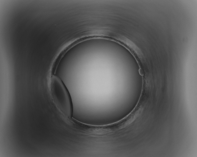 X0000101951077200807180657