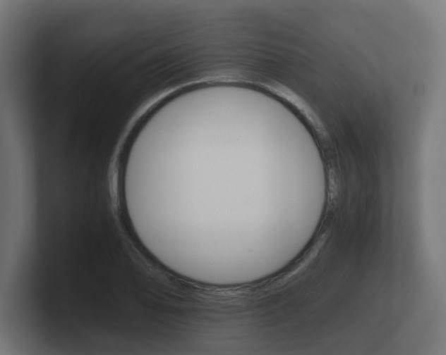X0000101951078200807180657