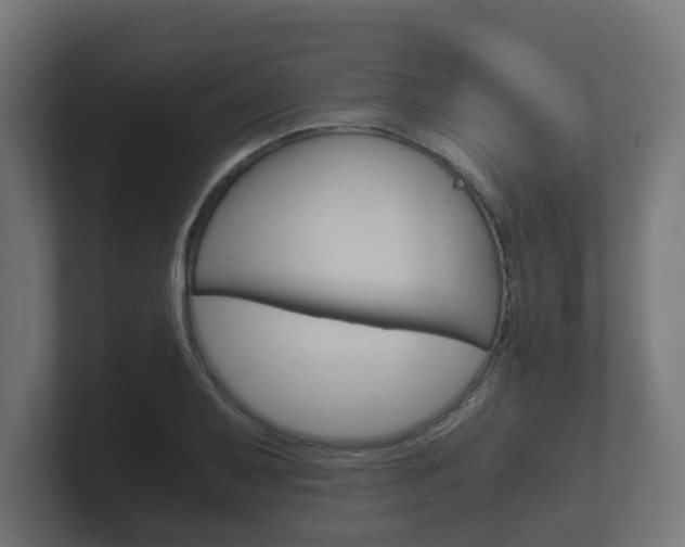 X0000101951079200807180657