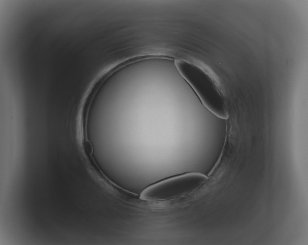 X0000101951080200807180657