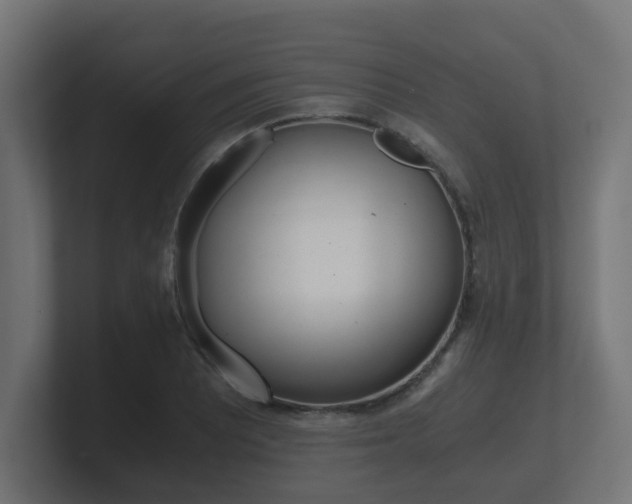 X0000101951081200807180657