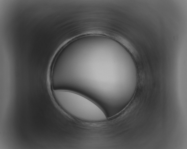 X0000101951084200807180657