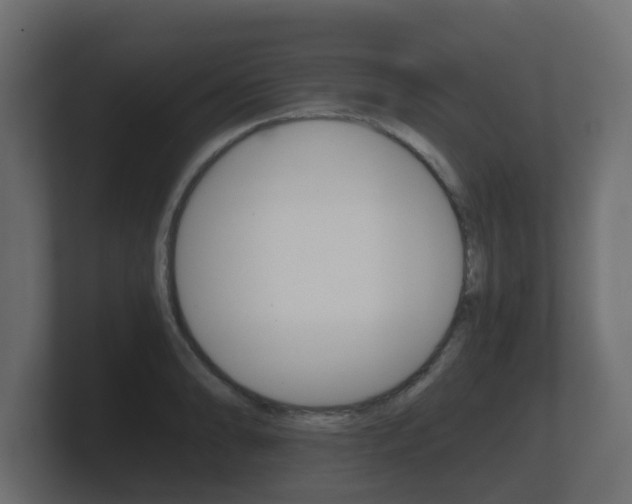 X0000101951086200807180657