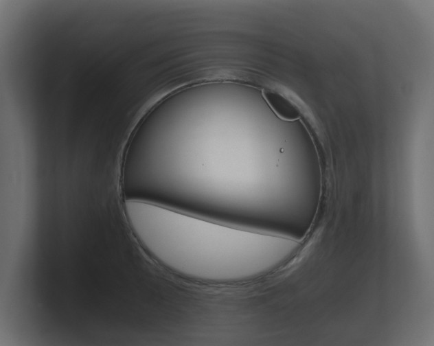 X0000101951089200807180657
