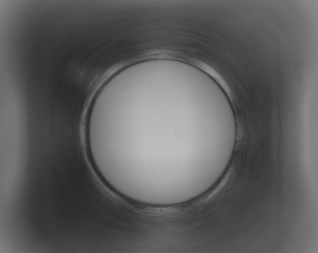 X0000101951090200807180657