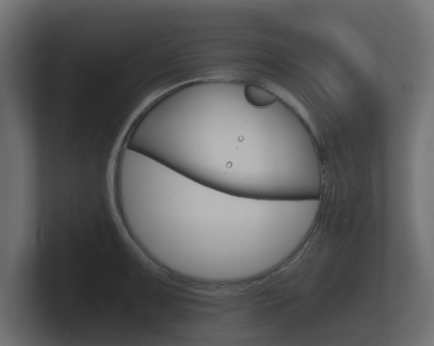 X0000101951091200807180657