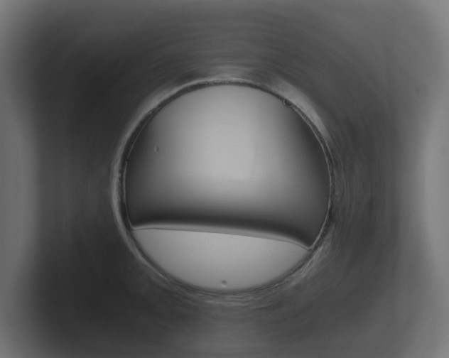 X0000101951093200807180657