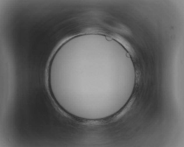 X0000101951094200807180657