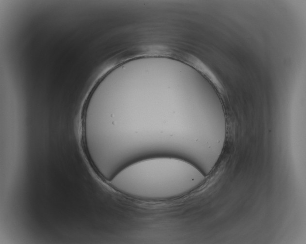 X0000101951095200807180657